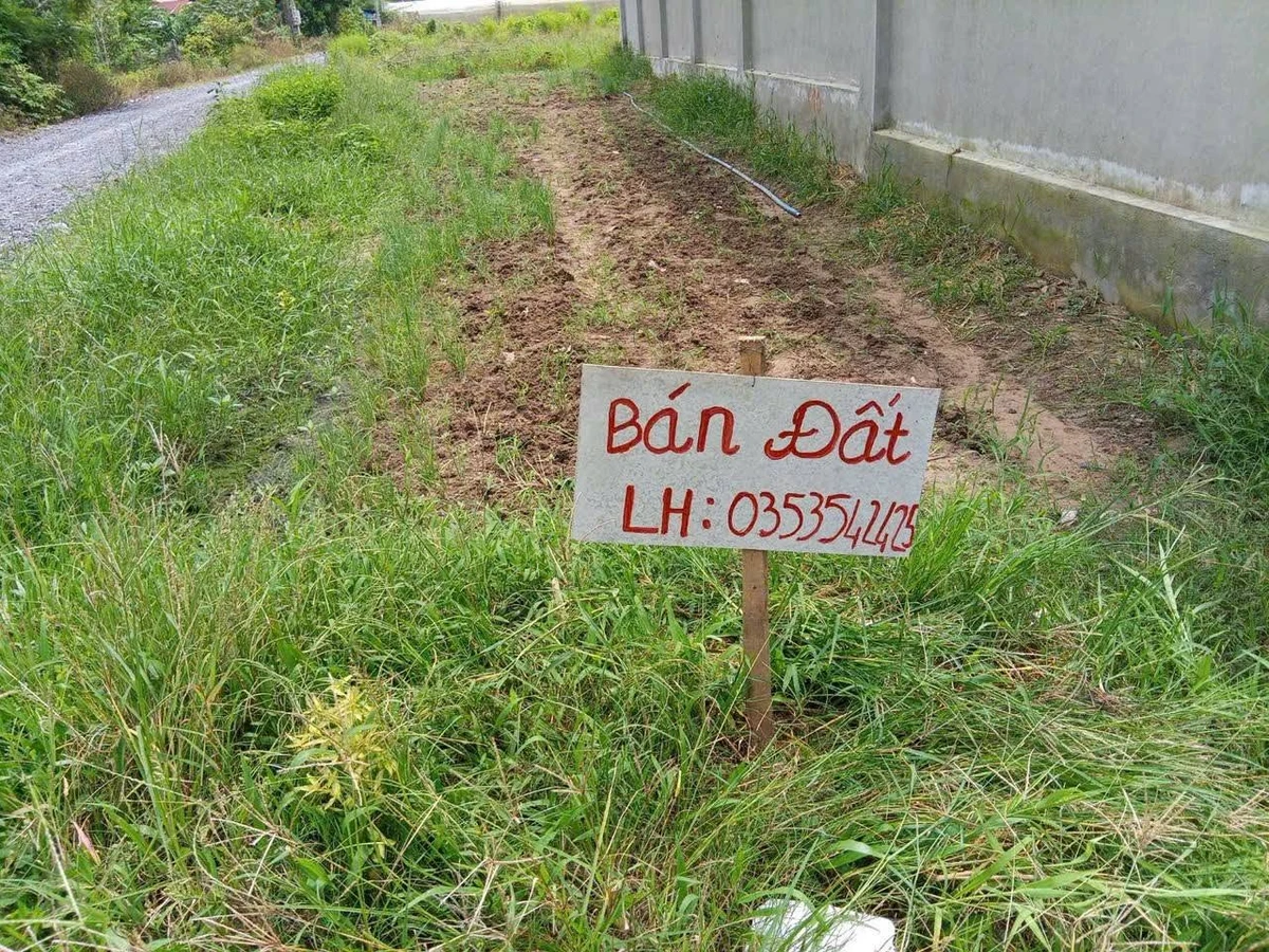 Bán đất Ấp Tầm Long Hảo Độc Tây Ninh 155m2 - Ảnh thu nhỏ 2
