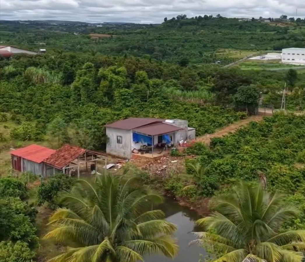 Bán đất 150 m² xã Đắk Rla, Đắk Nông - Ảnh thu nhỏ 4