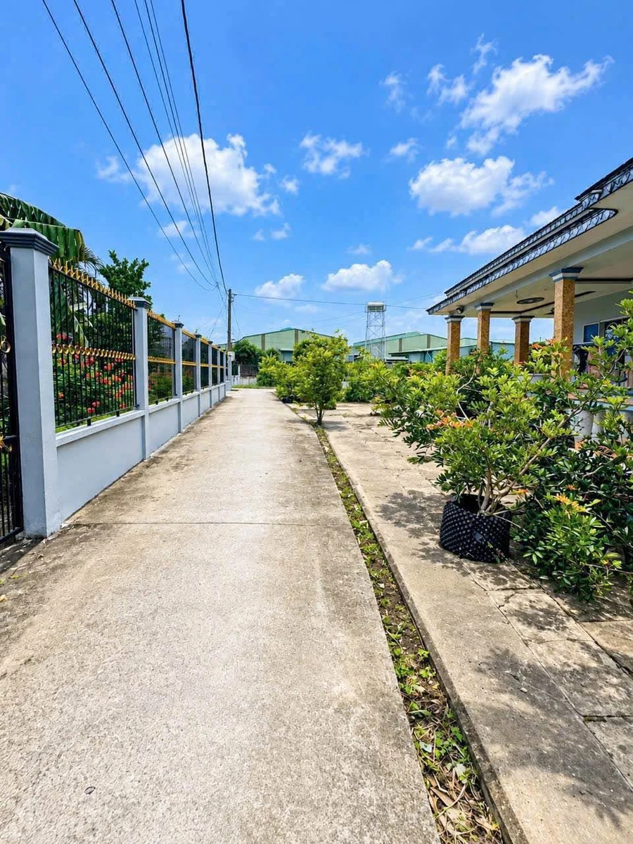 Bán đất thổ cư 86.4m² Mỹ Lộc Cần Giờ 670 triệu - Ảnh thu nhỏ 3