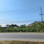 Bán Đất 1053,5 m2 tại Đường Quốc lộ 54, Xã Tân Thành, Huyện Lai Vung, 4,2 tỷ - Ảnh thu nhỏ 9