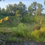 Bán 500m² đất vườn Ấp 7 Lương Hòa Bến Lức Long An - Ảnh thu nhỏ 2