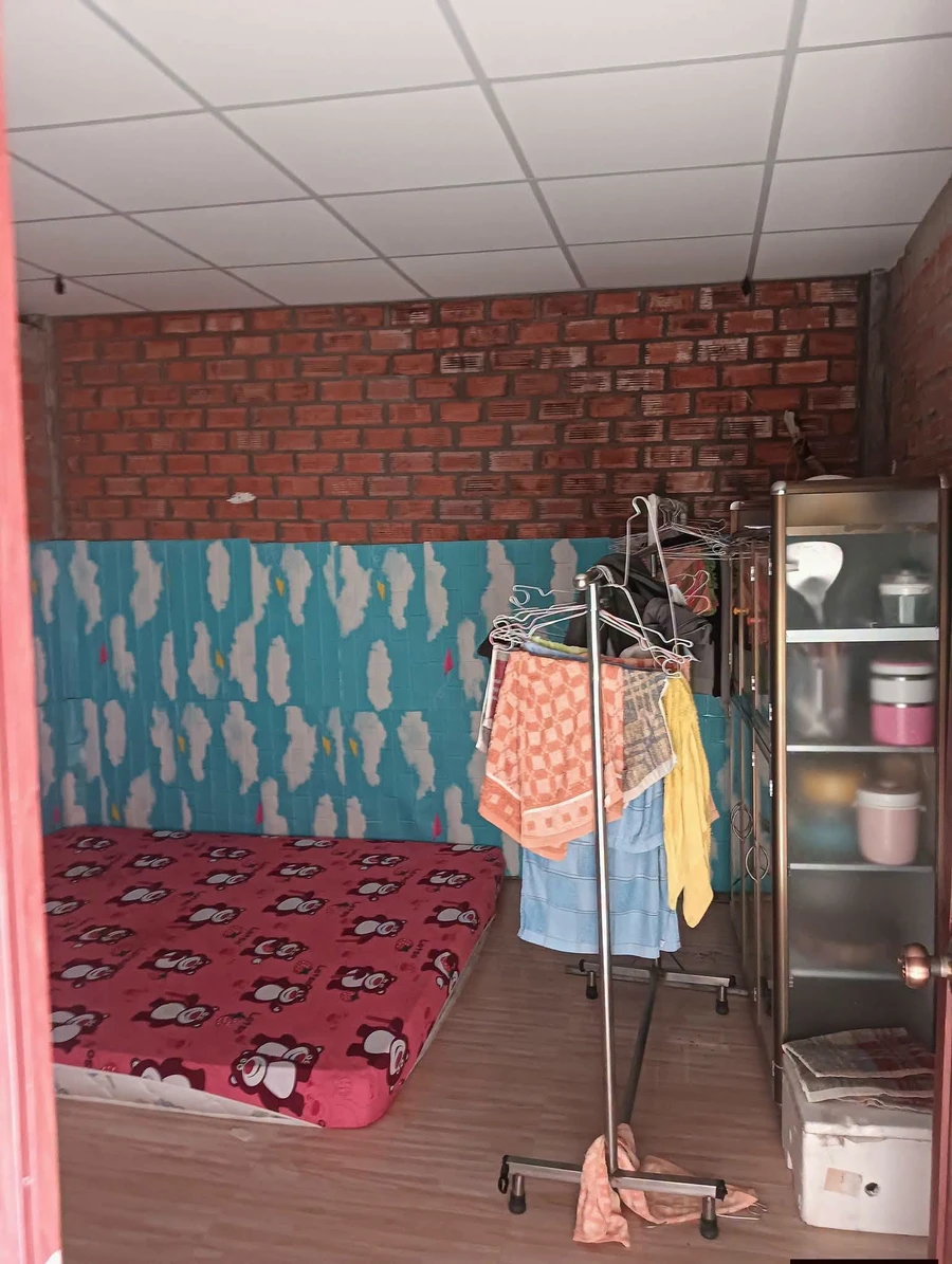 Bán nhà cấp 4 mặt tiền 12m, 100m², 2PN ở Tân Tây Thạnh, Long An - Ảnh thu nhỏ 3