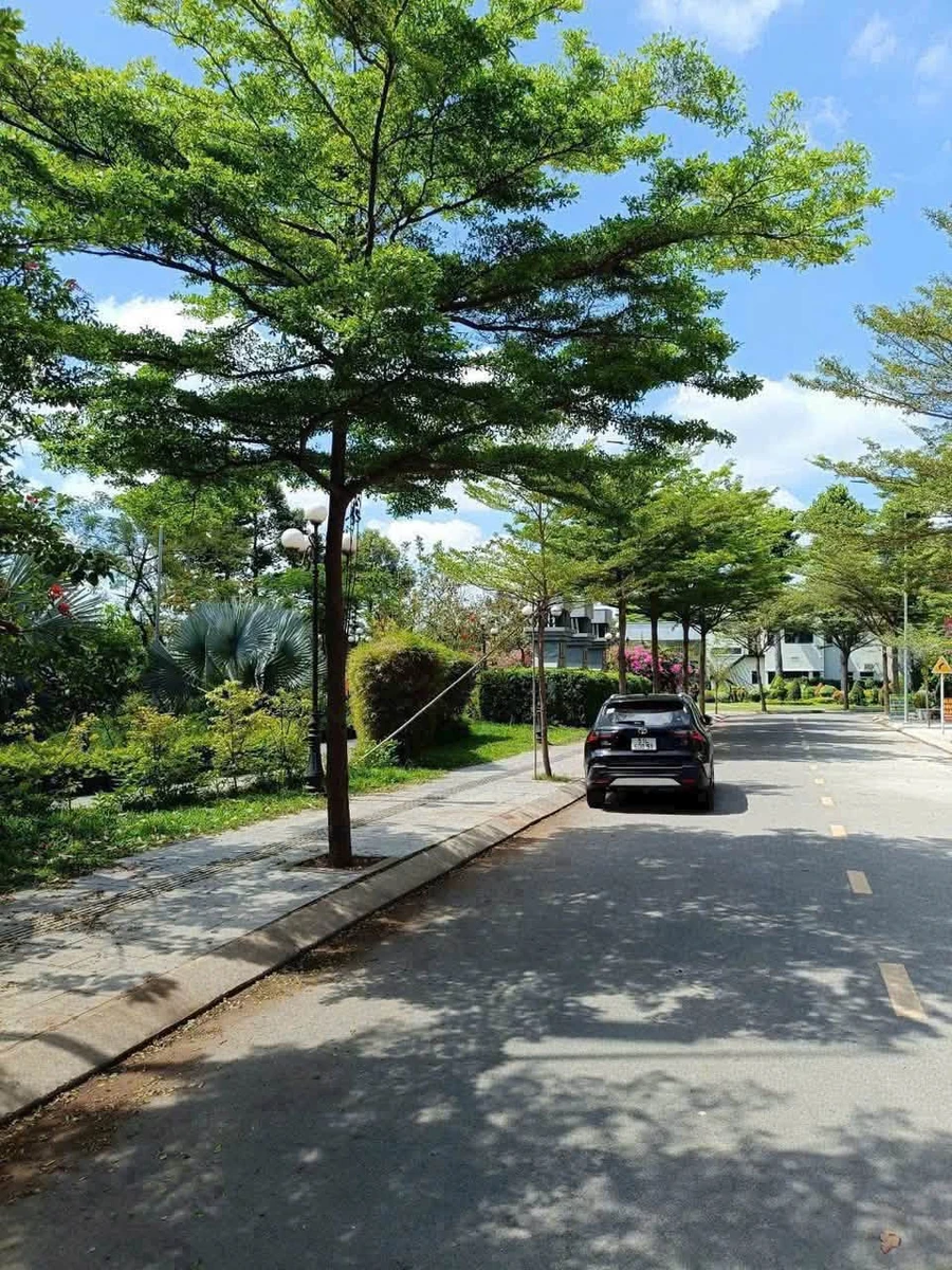 Bán đất 80m2 Hưng Phát An Điền Bến Cát 1 tỷ 190 - Ảnh thu nhỏ 3