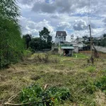Bán đất 1.000m² nở hậu, có 225m² thổ cư, hẻm Lê Phụng Hiểu, Bảo Lộc - Ảnh thu nhỏ 5