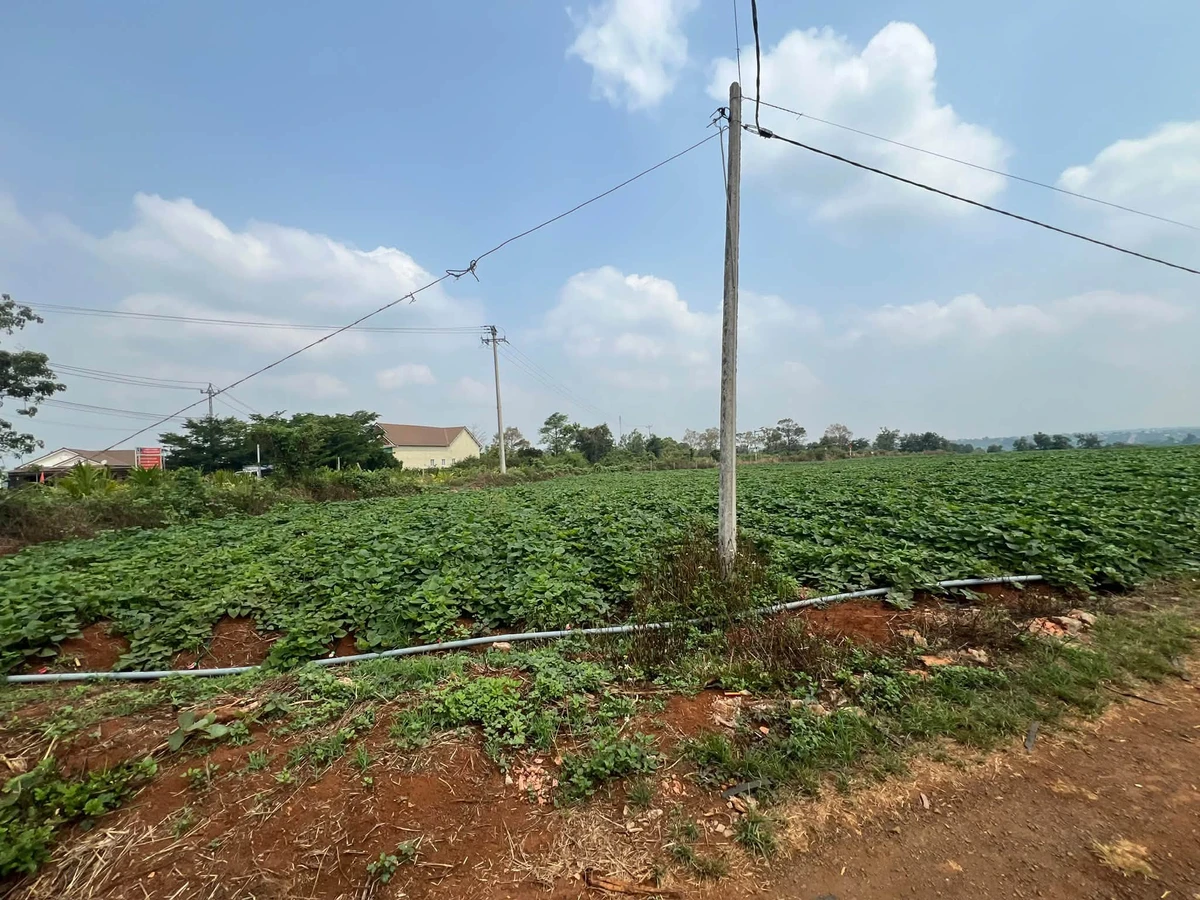 Bán đất lô 1 sào Đường Tránh Phía Tây, Pleiku - Ảnh 1
