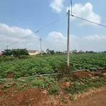 Bán đất lô 1 sào Đường Tránh Phía Tây, Pleiku - Ảnh thu nhỏ 1