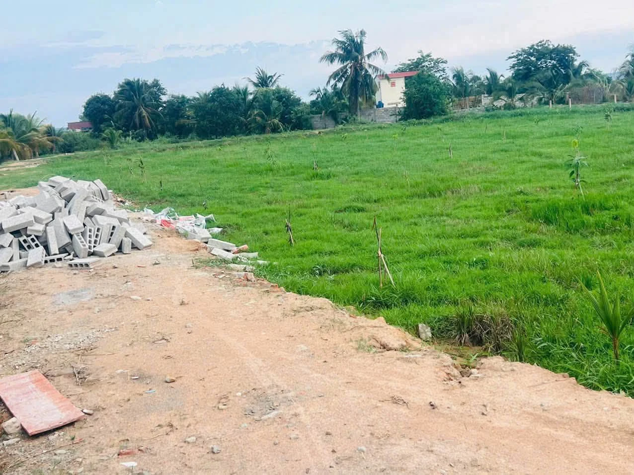 Bán đất cây trồng 1516m² 750 triệu Lâm Đồng - Ảnh 1