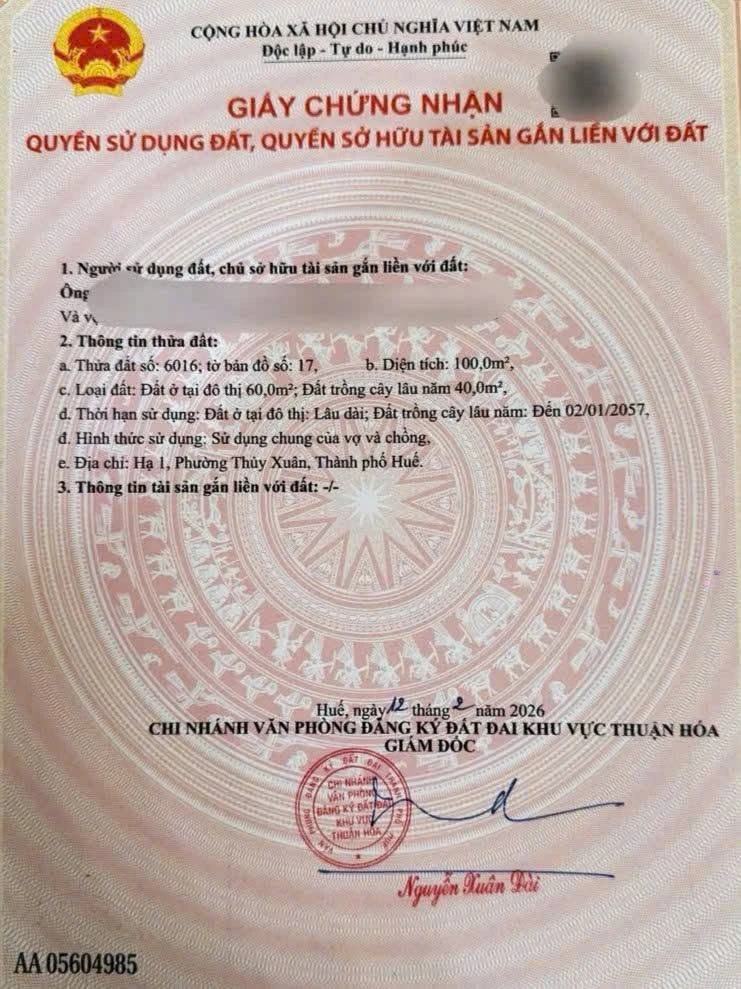 Bán đất mặt tiền đường Quảng Tế, TP Huế, 100m2, ngang 5m, gần Đào Tấn - Ảnh thu nhỏ 3
