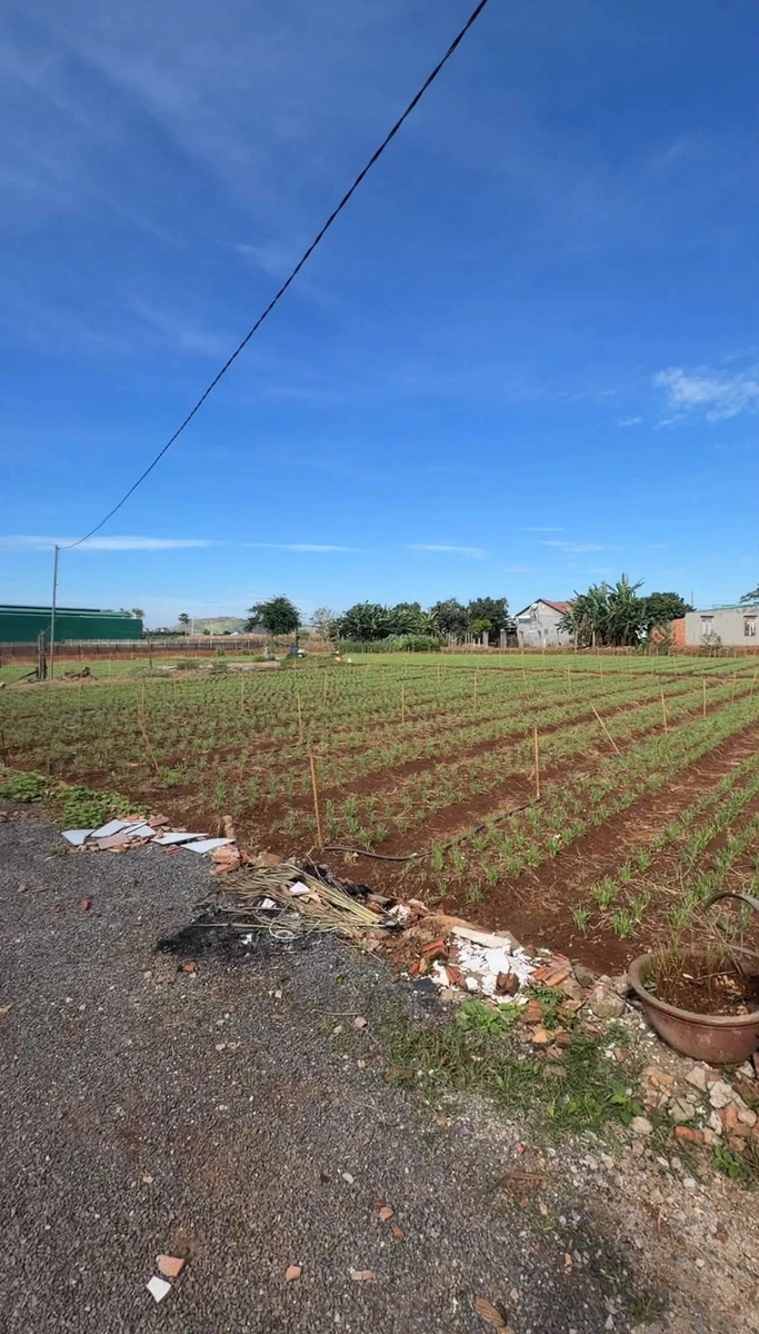Bán 2 lô đất liền kề Liên Nghĩa 225m², 1,7 tỷ/lô - Ảnh thu nhỏ 4