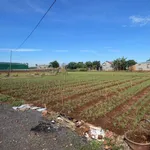 Bán 2 lô đất liền kề Liên Nghĩa 225m², 1,7 tỷ/lô - Ảnh thu nhỏ 4
