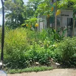 Bán lô đất hẻm 131 Tạ Quang Bửu, 100m², Quận 6, 225 triệu - Ảnh thu nhỏ 2