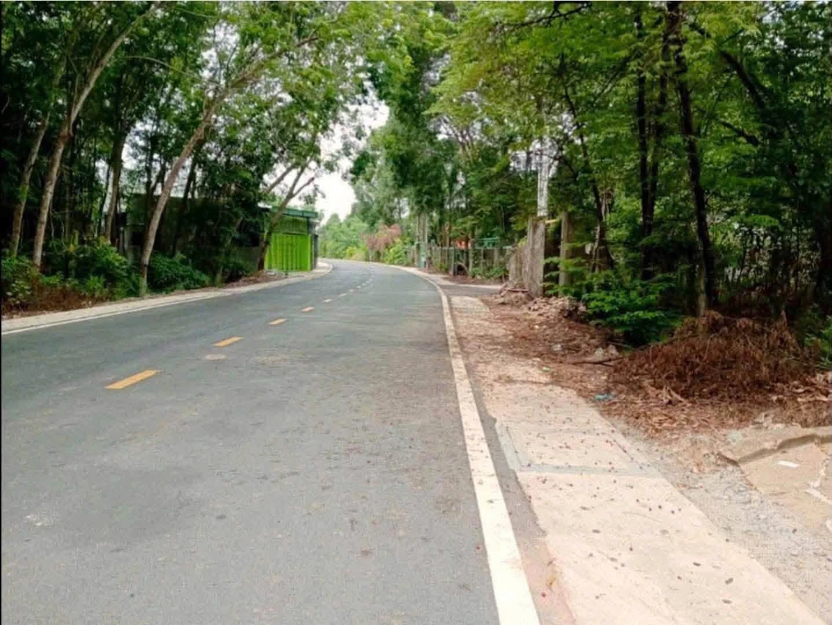 Bán lô đất thổ cư đường nhựa 12m thông DT744 ra DH609, Phú An, Bến Cát, Bình Dương - Ảnh thu nhỏ 5
