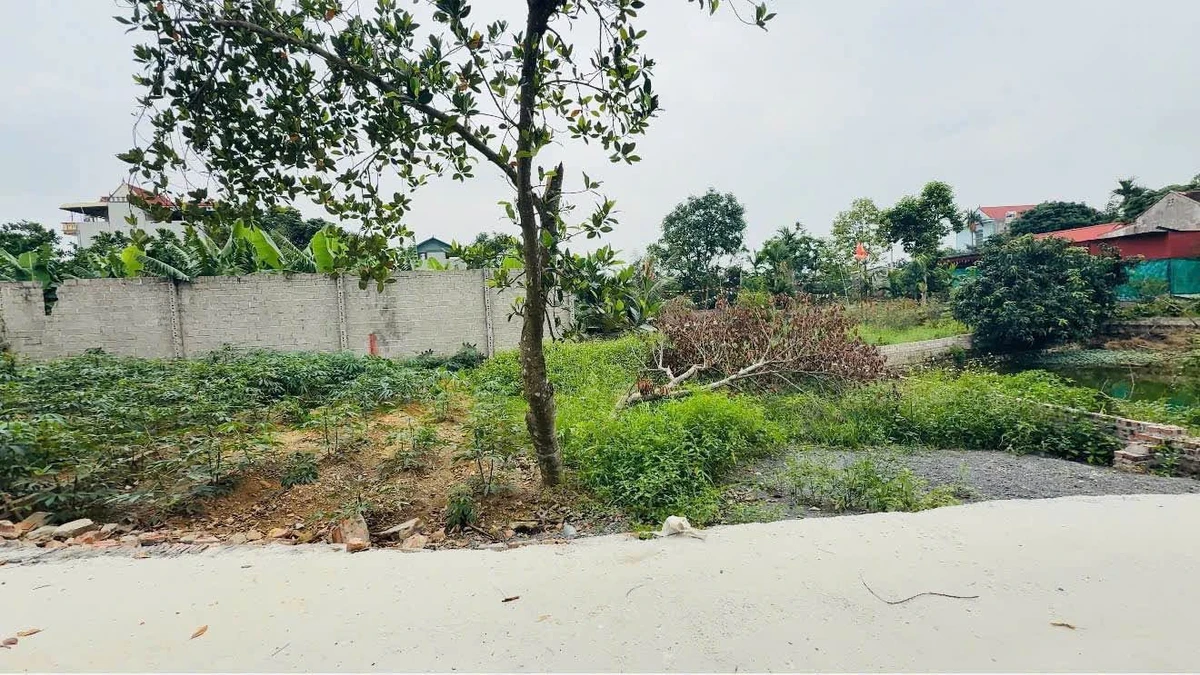 Bán đất 754m2 (117m2 ở) tại xã Xuân Mai Hà Nội - Ảnh thu nhỏ 3