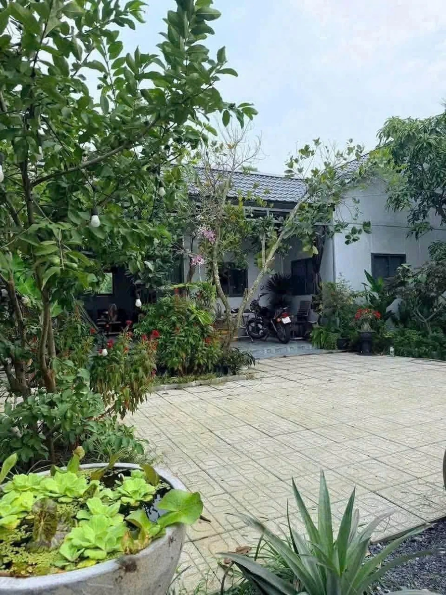 Bán nhà vườn 3PN Long An 500m² giá 1 tỷ 550 triệu - Ảnh thu nhỏ 2