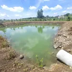 Bán đất 1.000m² giáp ranh Bảo Vinh, mặt tiền 37m - Ảnh thu nhỏ 4