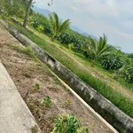 Bán đất Cần Giờ 1.8 sào mặt tiền 599 triệu - Ảnh thu nhỏ 2