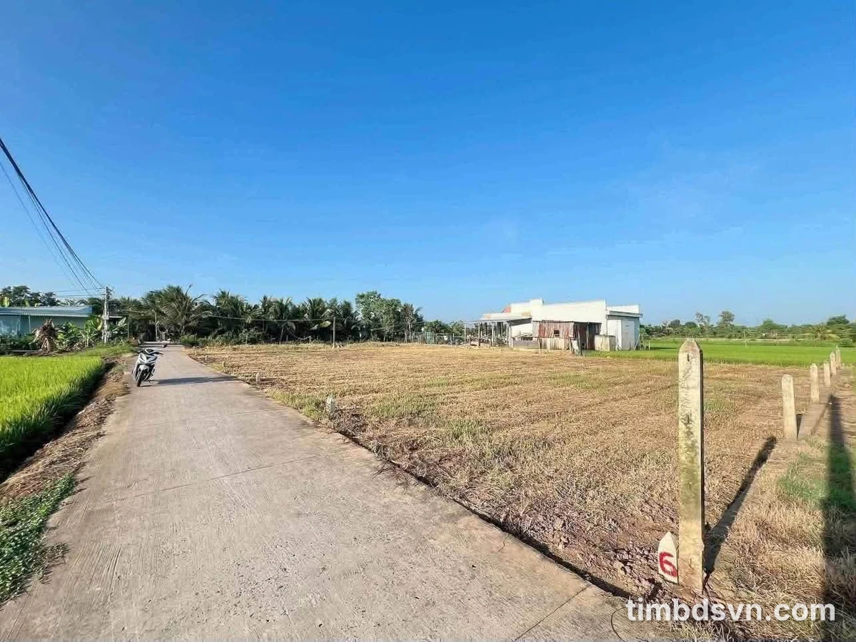 Bán đất nền 135m² tại Gò Công, Tiền Giang, giá 390 triệu - Ảnh thu nhỏ 4
