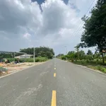 Bán đất xây trọ 250m2, sổ công chứng, Bình Dương - Ảnh thu nhỏ 1