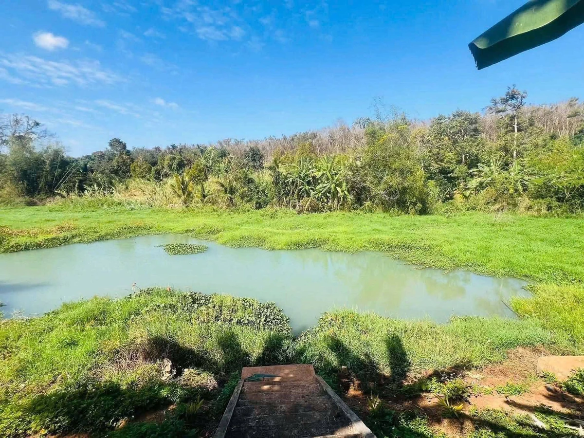 Sang nhượng homestay 1.163m² đang khai thác, QL26 - Ảnh thu nhỏ 3