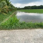 Bán đất ruộng 2.4 công mặt tiền 650 triệu Vĩnh Long - Ảnh thu nhỏ 2