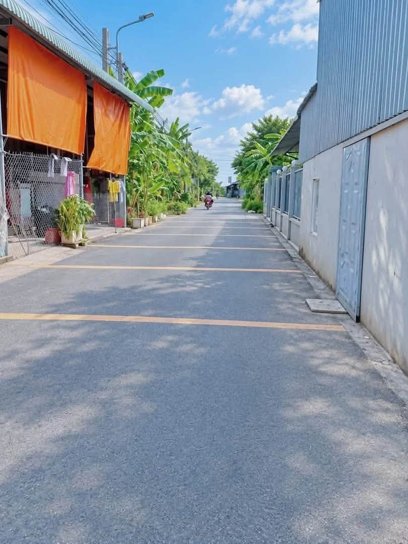 Bán đất 100m² Phú An, Bình Chánh 1 tỷ 550 - Ảnh 1