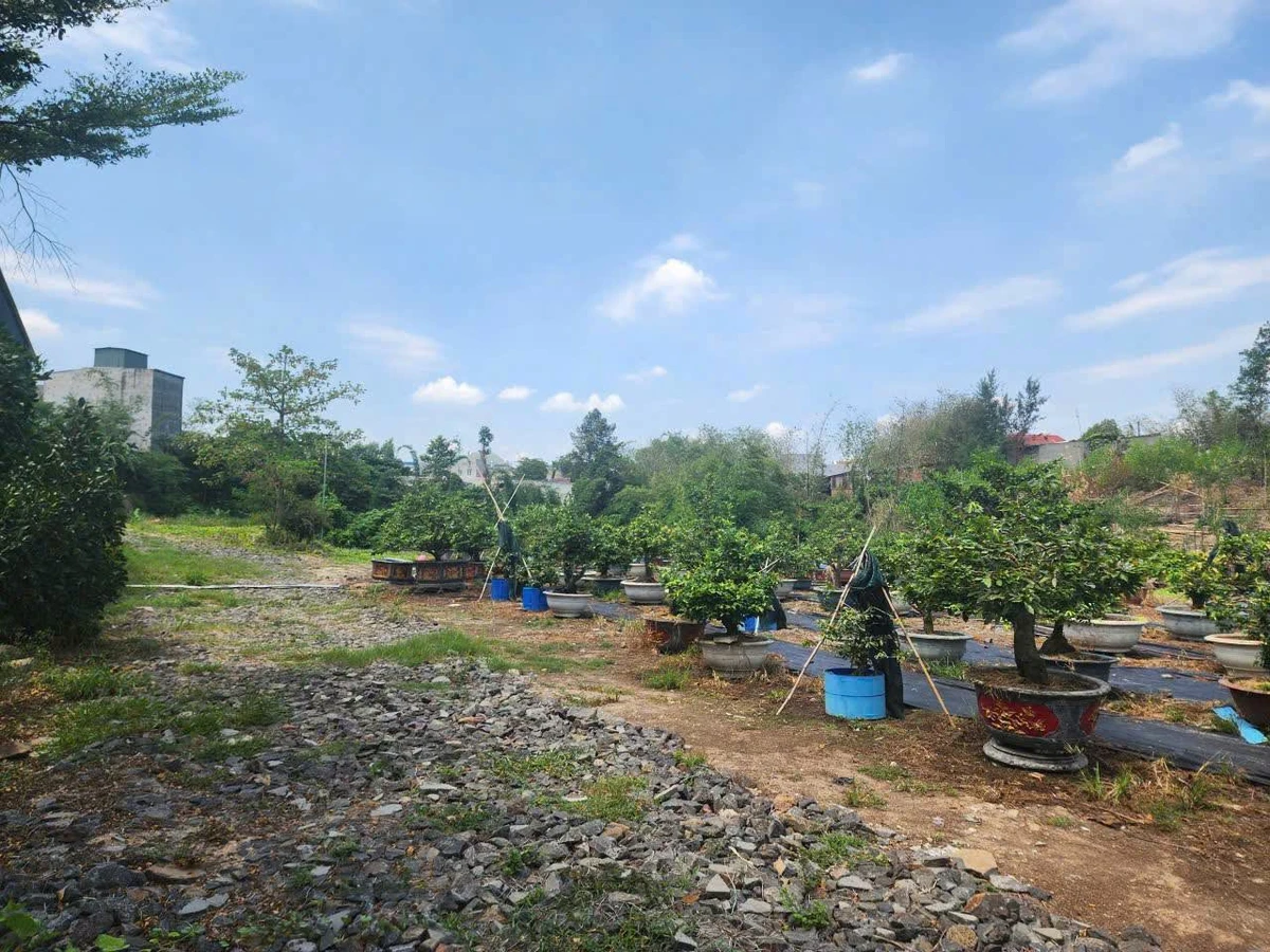 Bán đất 10.000m2 Xã Bình Minh, Đồng Nai 16 tỷ - Ảnh thu nhỏ 3