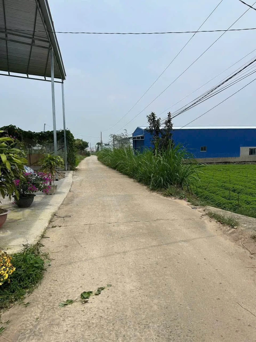 Bán đất Phú Trung – Phú Hội, 130m², giá 950 triệu - Ảnh thu nhỏ 3