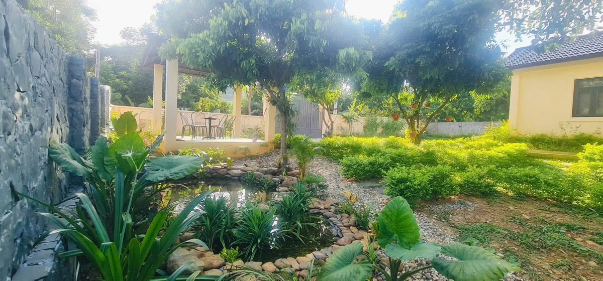 Chuyển nhượng khuôn viên nhà vườn 898m2 full nội thất tại Lương Sơn, Hòa Bình - Ảnh thu nhỏ 5