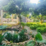 Chuyển nhượng khuôn viên nhà vườn 898m2 full nội thất tại Lương Sơn, Hòa Bình - Ảnh thu nhỏ 5
