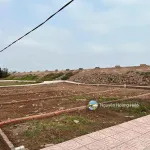 Bán đất mặt biển Hải Xuân Nam Định cạnh QL37B, homestay/ nhà hàng OceanitM giá 1.2 tỷ - Ảnh thu nhỏ 6