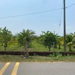 Bán đất 1,9 hecta Xã Phú Lý Đồng Nai - Ảnh thu nhỏ 4