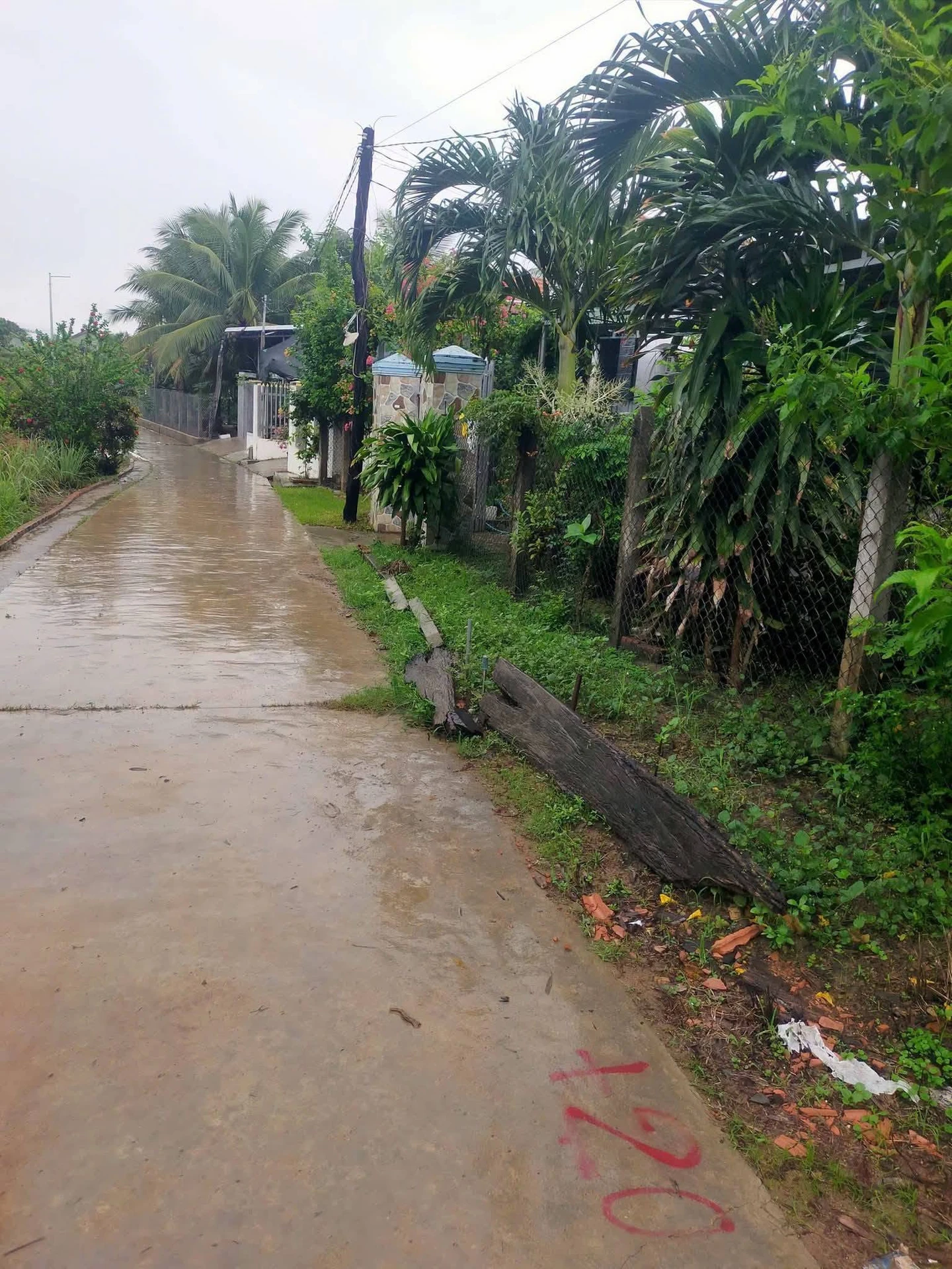 Bán nhà Ninh Sơn Bắc Ninh 550m2 - Ảnh 1