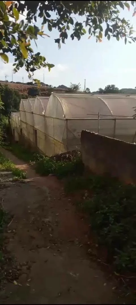 Bán lô đất vườn 9 sào tại Gia Lâm, Lâm Đồng, 400m2 đất ở - Ảnh thu nhỏ 3