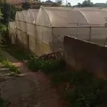Bán lô đất vườn 9 sào tại Gia Lâm, Lâm Đồng, 400m2 đất ở - Ảnh thu nhỏ 3