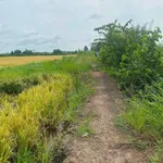 Bán 7 công ruộng Châu Thành, Kiên Giang, 48m mặt tiền - Ảnh thu nhỏ 1