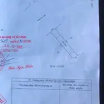 Bán đất Đường Thanh Niên Tân Hưng 165m2, 350 triệu - Ảnh thu nhỏ 3