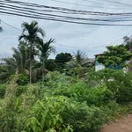 Bán đất 2.325m² thổ cư 2.000m² mặt tiền 40m Phú Cát Hà Nội - Ảnh thu nhỏ 2