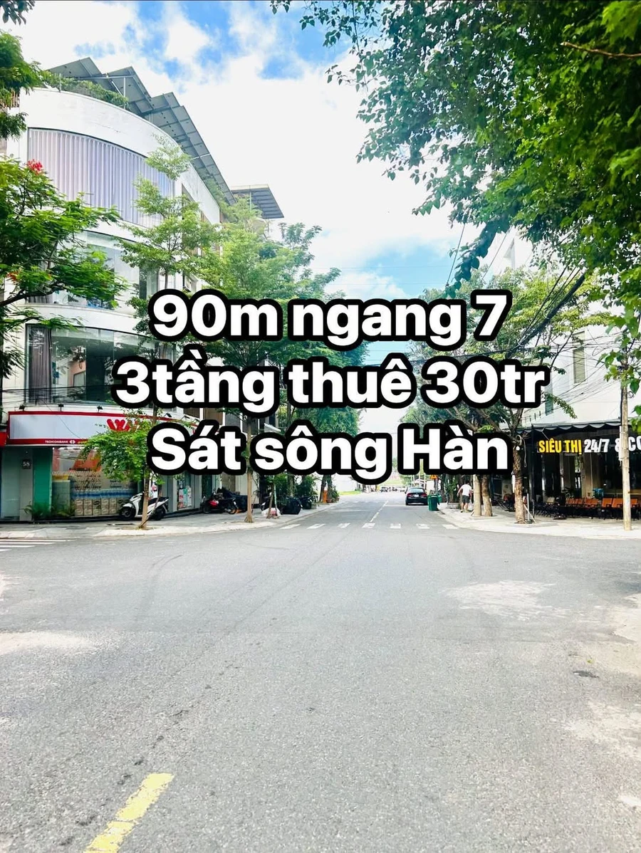 Bán shophouse mặt tiền Đỗ Bá 90m x 7m, 12 tỷ, Đà Nẵng - Ảnh 1