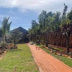 Bán đất vườn 1.040m² Thôn 6 Phạm Ngũ Lão 2 tỷ 450 triệu - Ảnh thu nhỏ 5