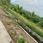 Bán đất nền 7200m² Kênh N29 Hàm Liêm Phan Thiết 599 triệu - Ảnh thu nhỏ 1