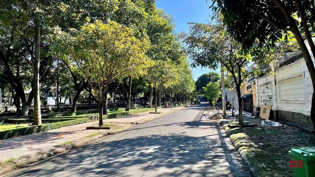 Cho thuê đất trống 450m² khu D2D, 45 triệu/tháng - Ảnh thu nhỏ 2