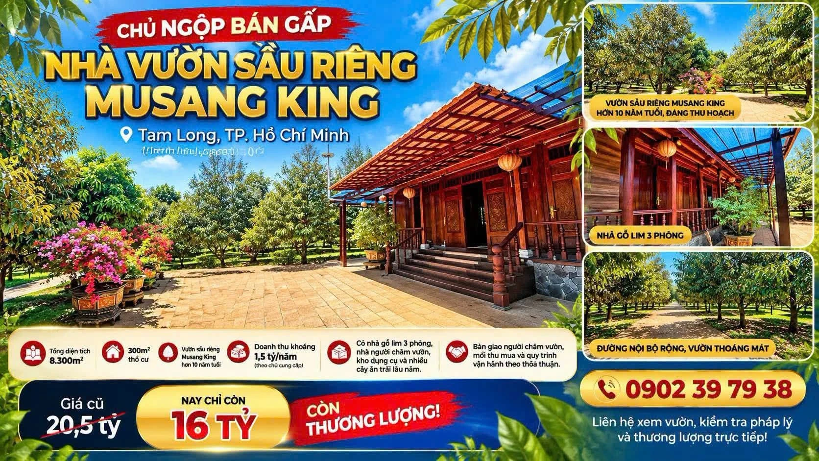 Bán gấp nhà vườn sầu riêng 8.300m² Tam Long 16 tỷ - Ảnh 1