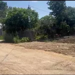 Bán đất 145m² Thôn 4, Ea Kao, Đắk Lắk, giá 950 triệu/lô - Ảnh thu nhỏ 2