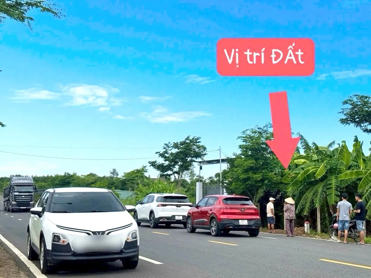 Bán đất mặt tiền 400m² Phước Hải, Bà Rịa - Vũng Tàu - Ảnh thu nhỏ 4