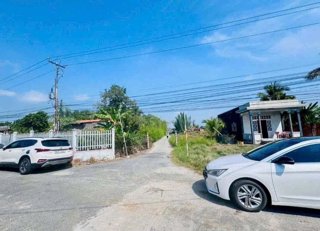 Bán đất thổ cư mặt tiền Đỗ Văn Đảnh 397,5m² Bình Chánh - Ảnh thu nhỏ 2
