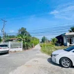 Bán đất thổ cư mặt tiền Đỗ Văn Đảnh 397,5m² Bình Chánh - Ảnh thu nhỏ 2