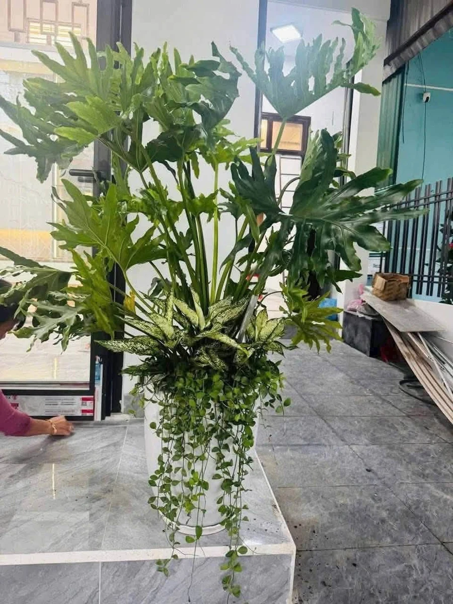 Bán nhà hẻm Nguyễn Trãi 92m², 2 phòng ngủ, 1,7 tỷ - Ảnh thu nhỏ 5