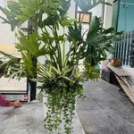 Bán nhà hẻm Nguyễn Trãi 92m², 2 phòng ngủ, 1,7 tỷ - Ảnh thu nhỏ 5
