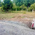 Bán đất Tây Ninh 67.5m² hẻm 88 Nguyễn Văn Linh 240 triệu - Ảnh thu nhỏ 2