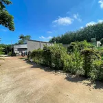 Bán đất sổ riêng thổ cư Sông Trầu 2, 117m², 800 triệu - Ảnh thu nhỏ 4